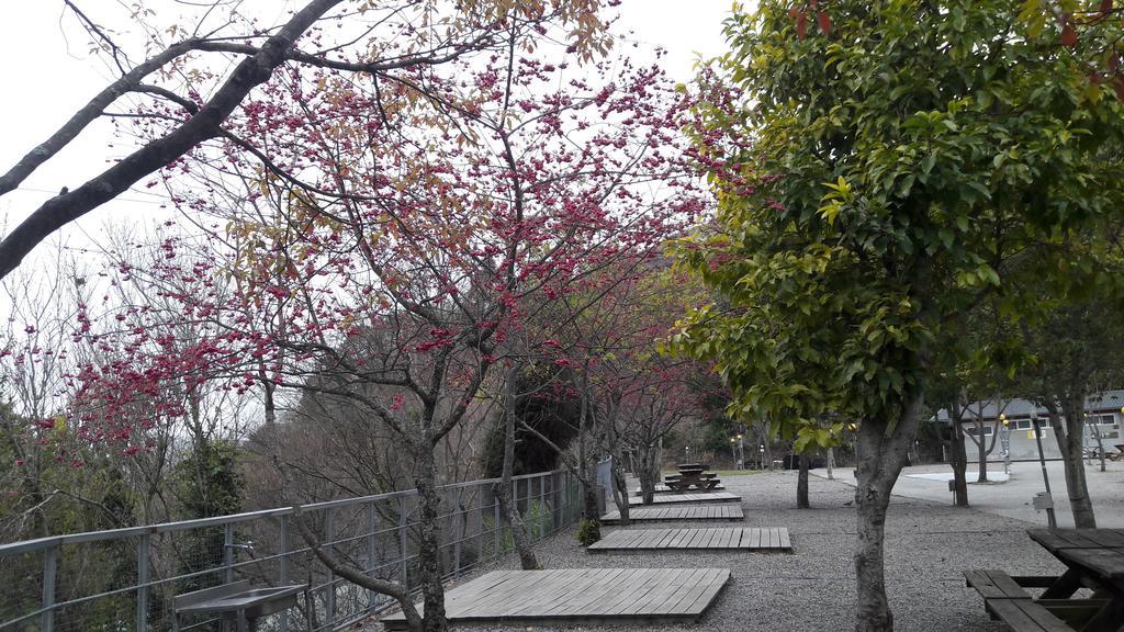 Qing Jing Xiao Taiyang Jingguan Homestay Renai Exterior foto